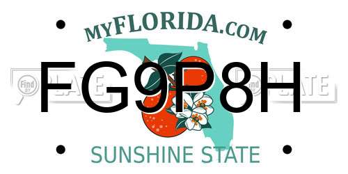 FG9P8H Florida License Plate