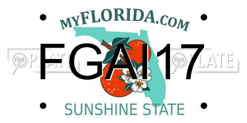 FGAI17 Florida License Plate