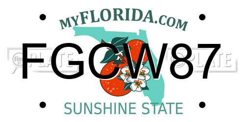 FGCW87 Florida License Plate