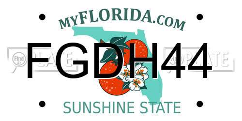 FGDH44 Florida License Plate