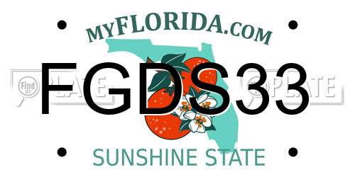 FGDS33 Florida License Plate