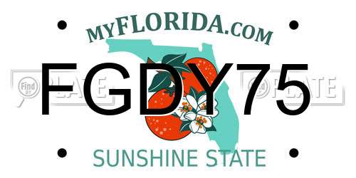 FGDY75 Florida License Plate