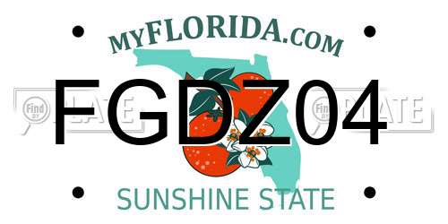 FGDZ04 Florida License Plate