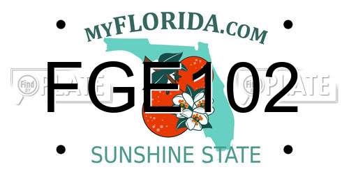 FGE102 Florida License Plate