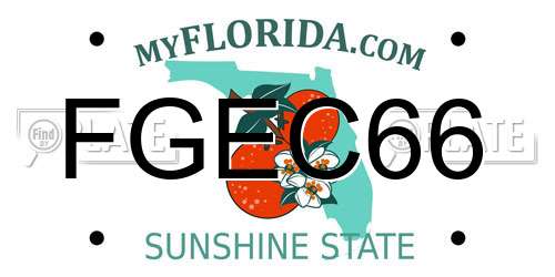 FGEC66 Florida License Plate
