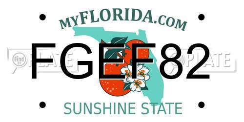 FGEF82 Florida License Plate