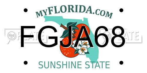 FGJA68 Florida License Plate