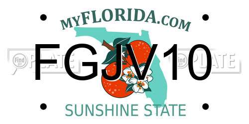 FGJV10 Florida License Plate