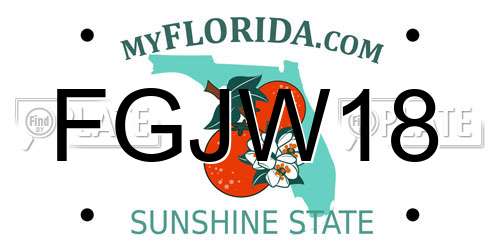 FGJW18 Florida License Plate