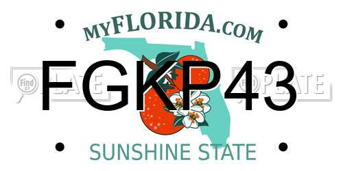 FGKP43 Florida License Plate