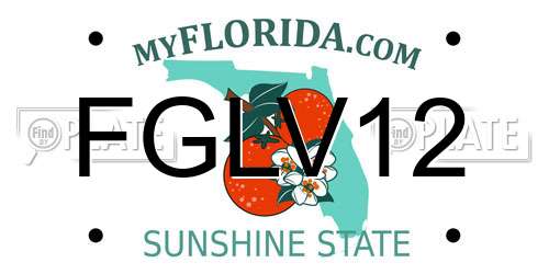 FGLV12 Florida License Plate