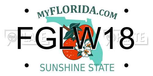 FGLW18 Florida License Plate