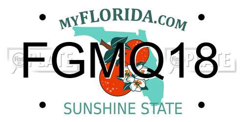 FGMQ18 Florida License Plate