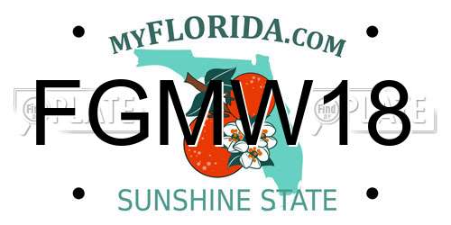 FGMW18 Florida License Plate