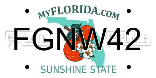FGNW42 Florida License Plate