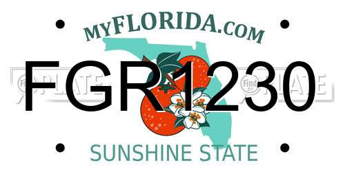 FGR1230 Florida License Plate