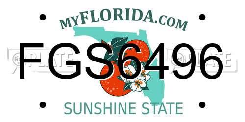 FGS6496 Florida License Plate