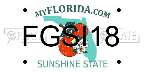 FGSI18 Florida License Plate