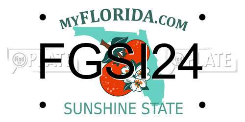 FGSI24 Florida License Plate