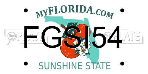 FGSI54 Florida License Plate