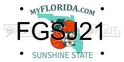 FGSJ21 Florida License Plate