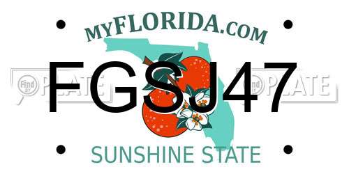 FGSJ47 Florida License Plate