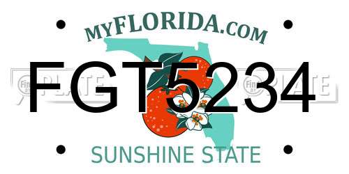 FGT5234 Florida License Plate