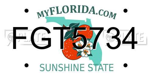 FGT5734 Florida License Plate