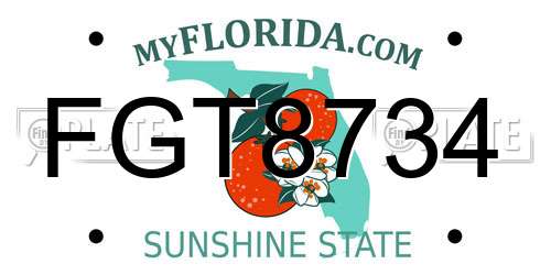 FGT8734 Florida License Plate