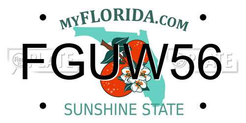 FGUW56 Florida License Plate