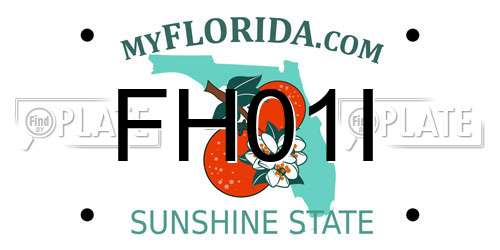 FH01I Florida License Plate