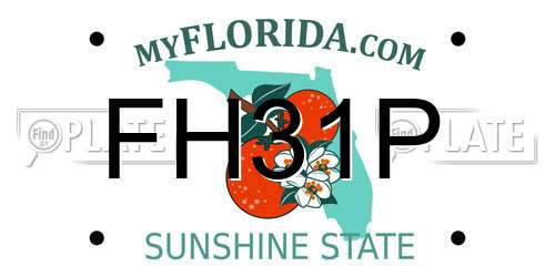 FH31P Florida License Plate