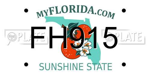 FH915 Florida License Plate