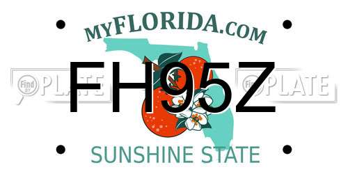FH95Z Florida License Plate