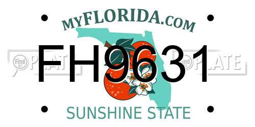 FH9631 Florida License Plate