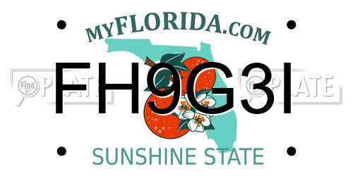 FH9G3I Florida License Plate