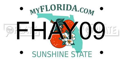 FHAY09 Florida License Plate