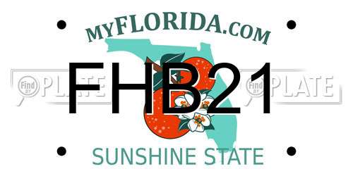 FHB21 Florida License Plate