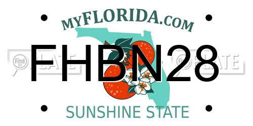 FHBN28 Florida License Plate