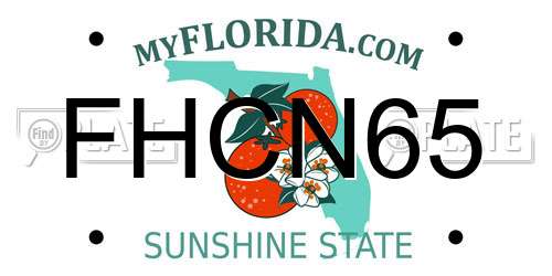 FHCN65 Florida License Plate