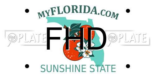 FHD Florida License Plate