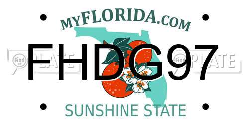FHDG97 Florida License Plate