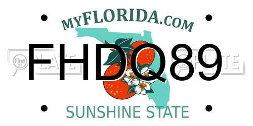 FHDQ89 Florida License Plate