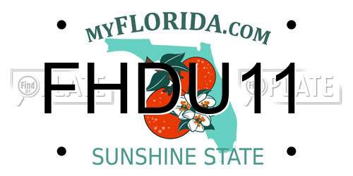 FHDU11 Florida License Plate