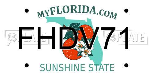 FHDV71 Florida License Plate