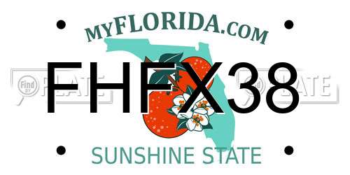 FHFX38 Florida License Plate