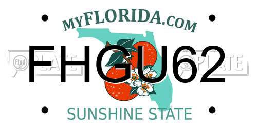 FHGU62 Florida License Plate