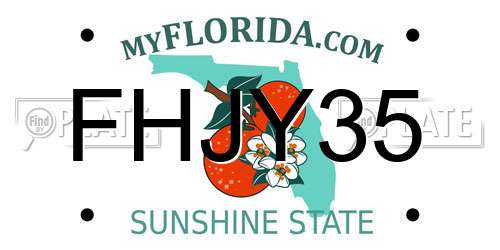 FHJY35 Florida License Plate