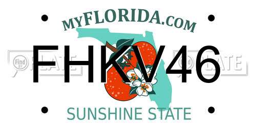 FHKV46 Florida License Plate