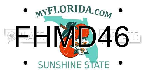 FHMD46 Florida License Plate